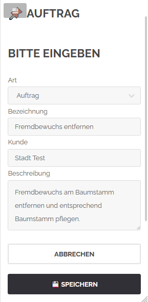 Datei:Auftrag Formular Eingabe.png